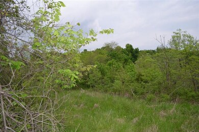 2100 Brewers Mill Rd, Harrodsburg, KY 40330 - photo 4