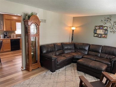 102 SW Moore Ct, Blue Springs, MO 64014 - photo 6