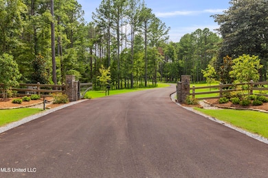 Springwood-July2025-3