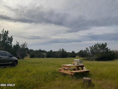 32018 W Calle Ines Pkwy, Seligman, AZ 86337 - photo 3