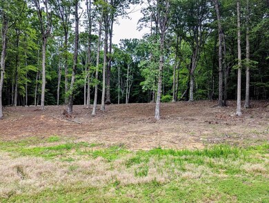 Q Jaber Rd, Clarksville, VA 23927 - photo 5