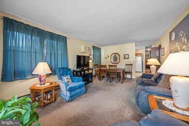 221 Elmtowne Blvd, Hammonton, NJ 08037 - photo 6