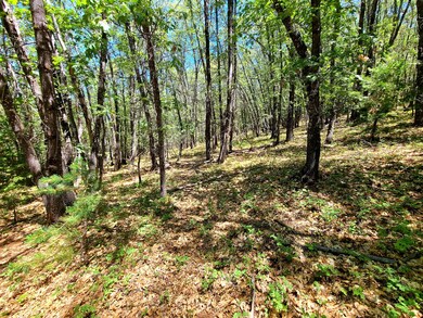 Land in Hammond Ranch