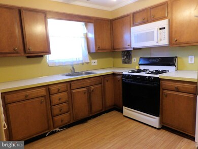 403 Werner Ave, Glenolden, PA 19036 - photo 5