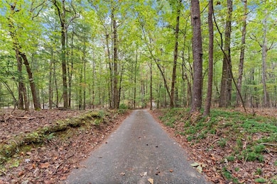 1076 Little Hawk Rd, Sautee Nacoochee, GA 30571 - photo 6