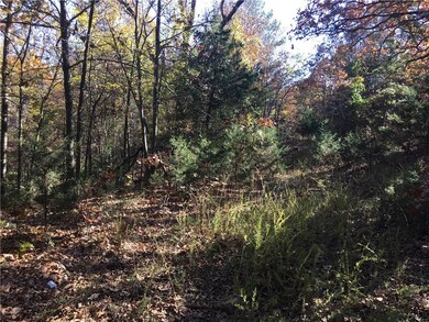 23.92Acres Shockley Place Rd, Rogers, AR 72756 - photo 3