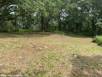 good area for grazing