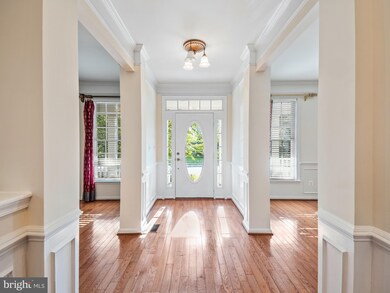 24793 Shells Way, Stone Ridge, VA 20105 - photo 4