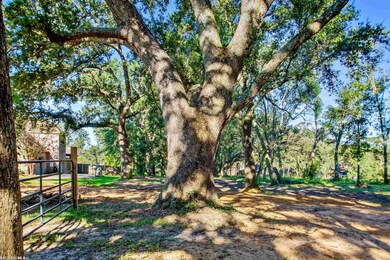 826 Aidan St, Fairhope, AL 36532 - photo 6