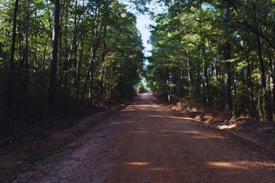 0 Mountain Rd, McCool, MS 39108 - photo 3