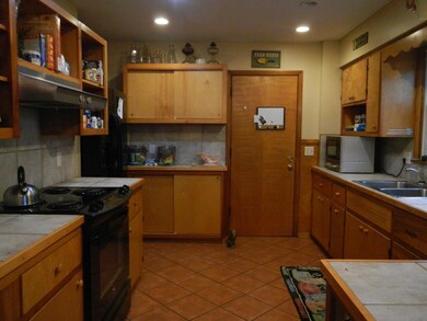 Kitchen View 1