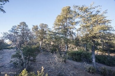 IMG_9579ps
