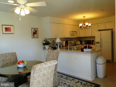 12021 Tralee Rd unit 301, Lutherville Timonium, MD 21093 - photo 6