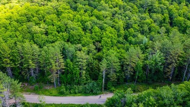 00 Austin Pond Rd, Johnsburg, NY 12853 - photo 2