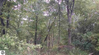 0 N Van Horn Rd, Au Gres, MI 48703 - photo 4