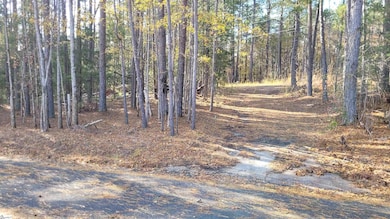 3082 State Road S-30-82, Laurens, SC 29360 - photo 4