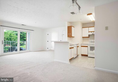 1208 Mist Wood Ct unit 204, Belcamp, MD 21017 - photo 7