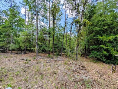 TBD SW 93rd Ln, Dunnellon, FL 34431 - photo 5