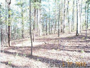 00 Seay Rd, Candler, NC 28715 - photo 5