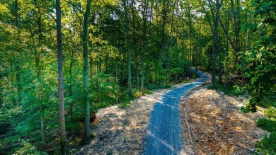 0 Old Lower River Rd NW unit 20253533, Charleston, TN 37310 - photo 5