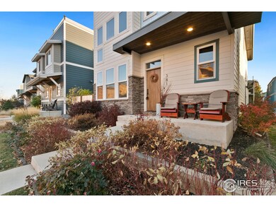 381 Osiander St, Fort Collins, CO 80524 - photo 3