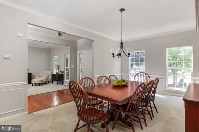 501 E Skyline Dr, Purcellville, VA 20132 - photo 7