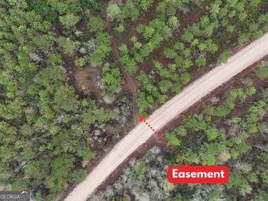 0 Off Doc McTier Rd unit 10656659, Baxley, GA 31513 - photo 3