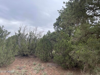 1 Cr 8117, Concho, AZ 85924 - photo 6