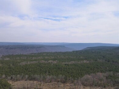 0 Lick Point Rd unit RTC2994491, Sequatchie, TN 37374 - photo 7