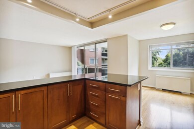 Takoma Overlook Condominium unit 217, Takoma Park, MD 20912 - photo 3