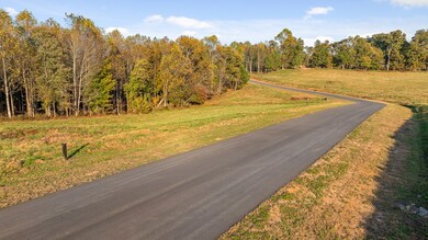 Lot 23 Bravo Way, Talking Rock, GA 30175 - photo 6