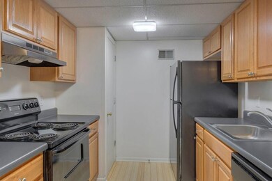 136 Green Turtle Ln unit 8, Charlottesville, VA 22901 - photo 7