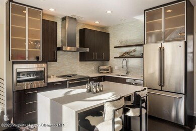 222 W Hopkins Ave unit 6, Aspen, CO 81611 - photo 4