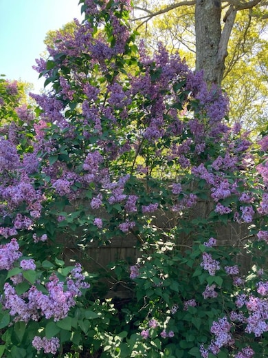 32 Clark Ave, Vineyard Haven, MA 02568 - photo 5