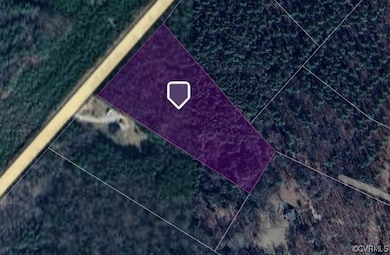 0 Boydton Plank Rd, Brodnax, VA 23920 - photo 3