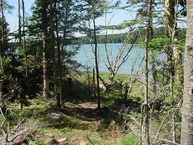 Land/Lot.