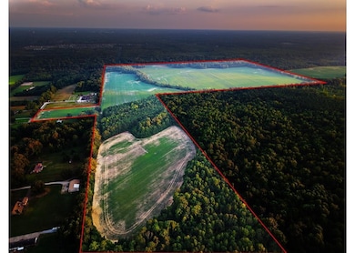 255 Cedar Grove Dr, Hickory Withe, TN 38002 - photo 5