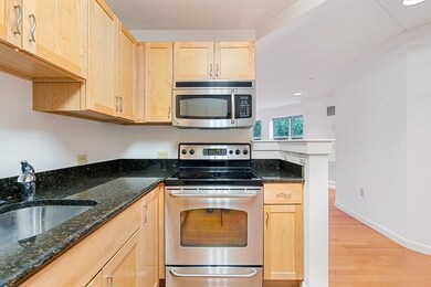 120 Mountfort St unit 206, Boston, MA 02215 - photo 5
