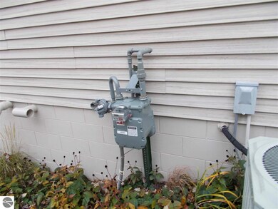 8800 Burnside Ave, Hale, MI 48739 - photo 5