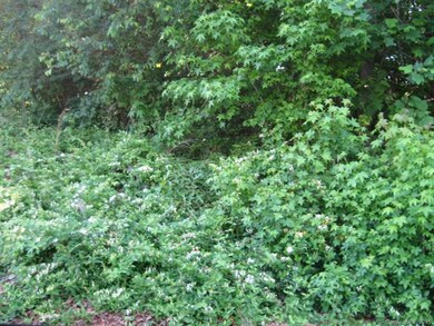 170 Oak Creek Rd unit 449, Statesville, NC 28625 - photo 6