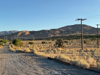 1 Barrel Springs & Emden Rd, Littlerock, CA 93543 - photo 2