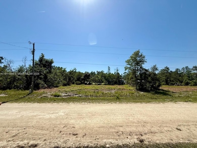 0 SW 103rd Terrace, Cedar Key, FL 32625 - photo 3