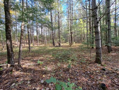 Lot 4 Nh Route 49, Thornton, NH 03285 - photo 4