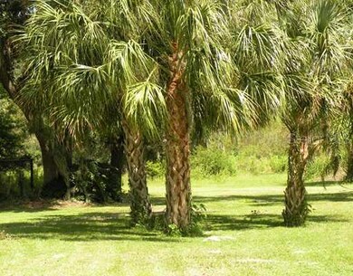 5010 Eric Slane Ln, Tampa, FL 33610 - photo 6