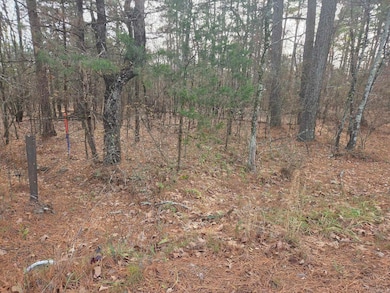 14 acres off Verkler Ln, Searcy, AR 72143 - photo 3