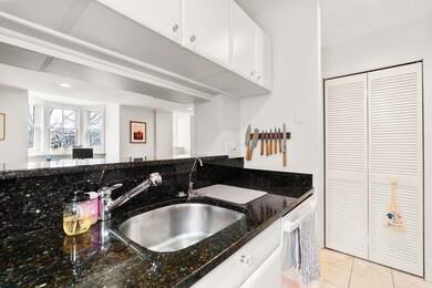 80 W Concord St unit 5, Boston, MA 02118 - photo 6