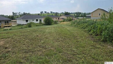 3808 N 215th Cir, Elkhorn, NE 68022 - photo 5