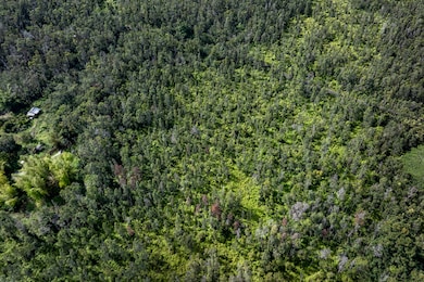 12-4235 Upper Puna Rd, Pahoa, HI 96778 - photo 3