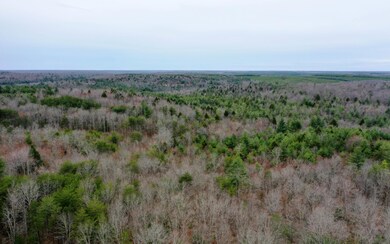 DJI_0401