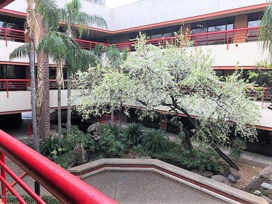 Lush Courtyard